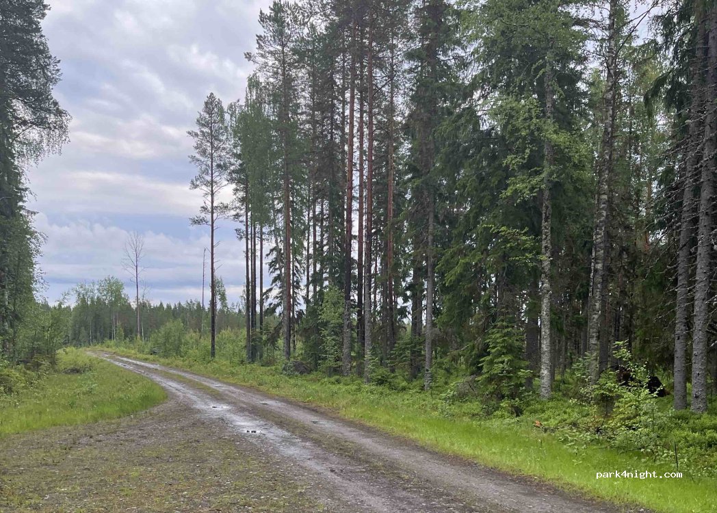 (905 95) Åbyn - — foto