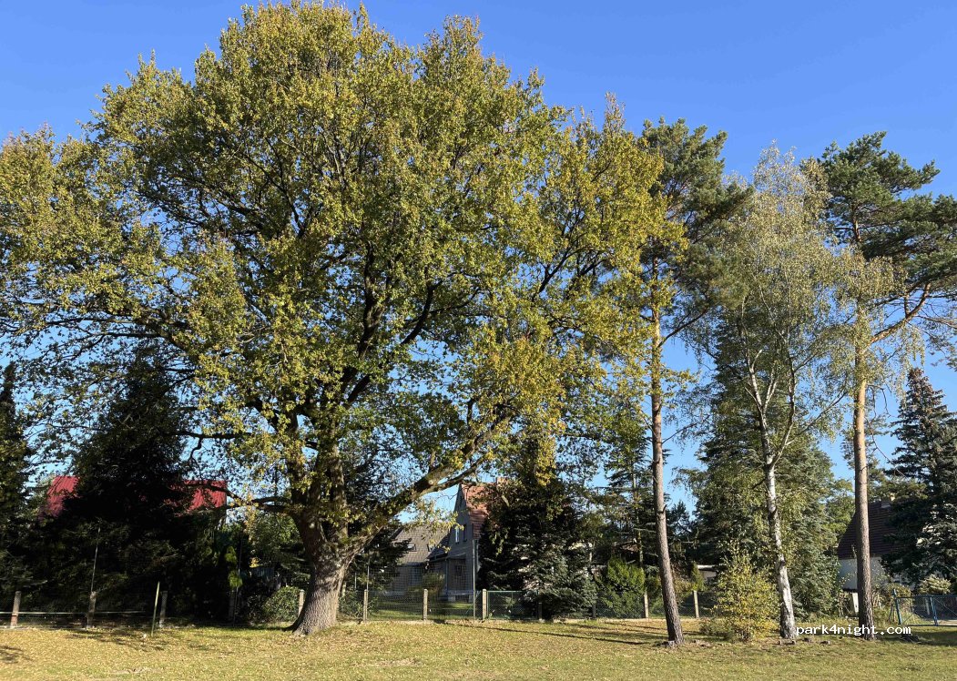 Endlich-Camping — foto 2