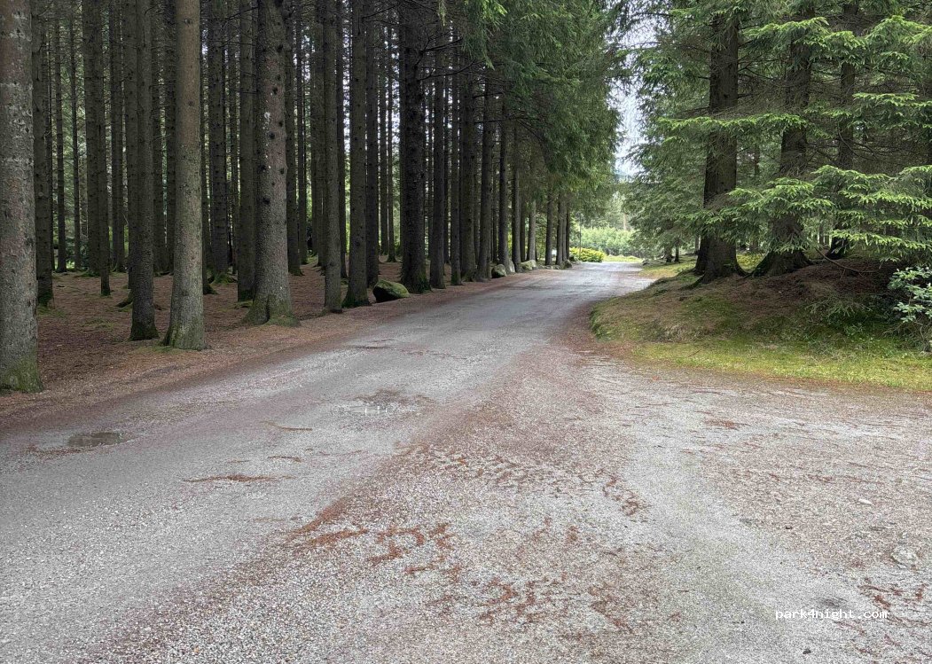 (4337) Sandnes - 232 Espelandveien — foto