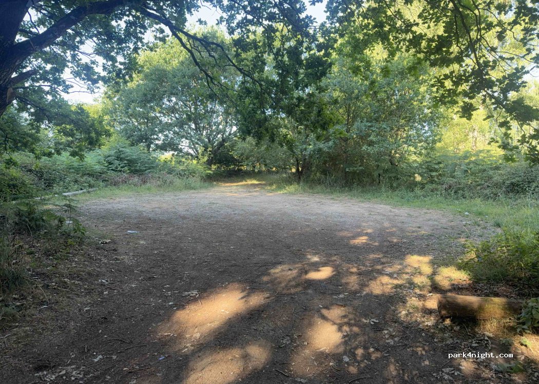 (NR16) Bridgham - — foto 4