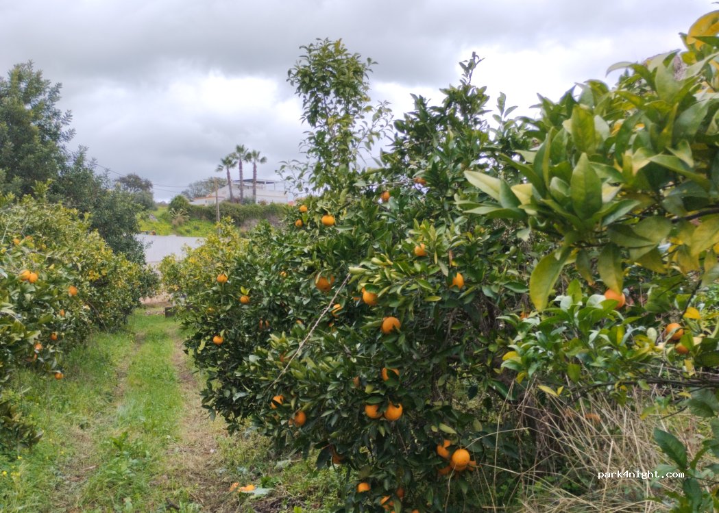 Quinta da Avozinha — foto