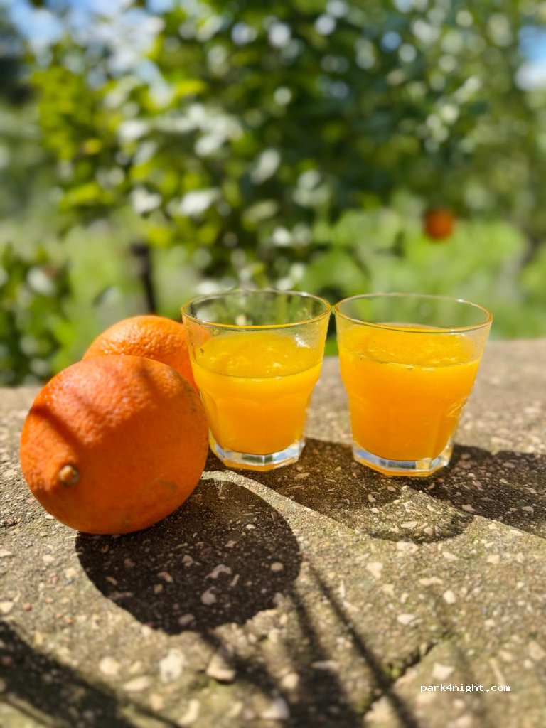 Quinta da Avozinha — foto 4