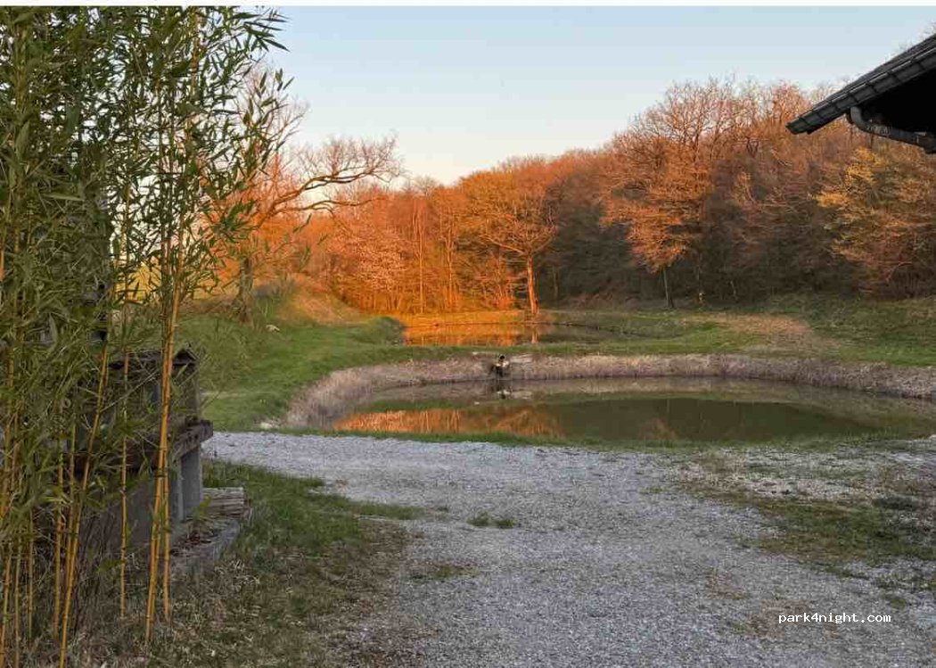 (5680) Doische - 88 A Route de Gimnée — foto