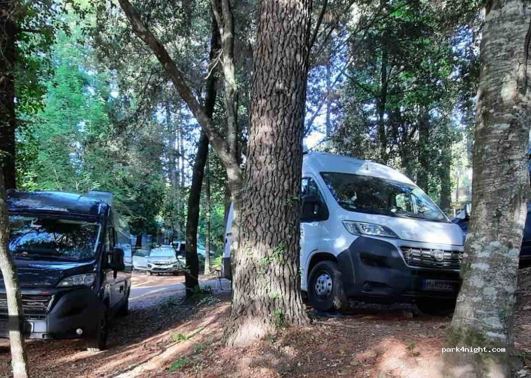 Camping Bavella Vista — foto 4