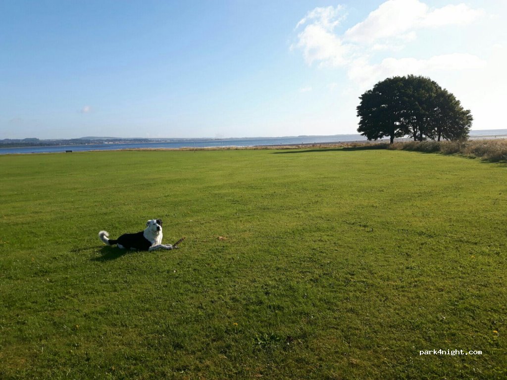 (DD6 9EB) Tayport - 2 Links Road North — foto 2