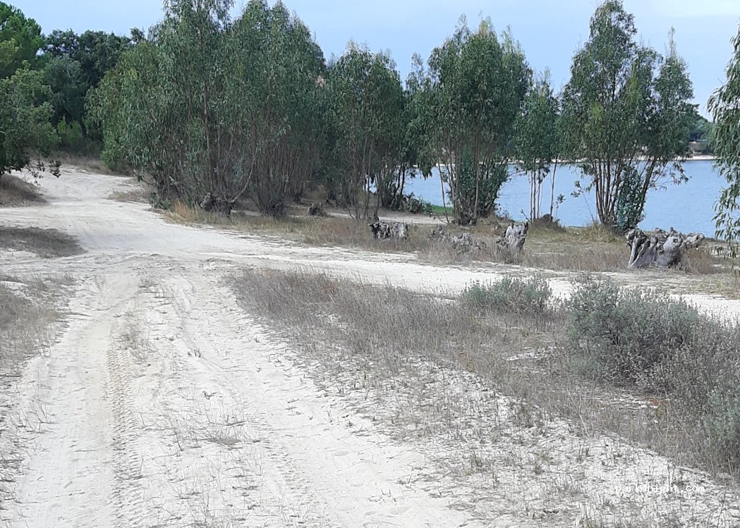 (2120-183) Foros de Salvaterra - — foto 3