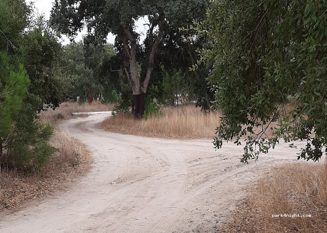 (2120-183) Foros de Salvaterra - — foto 4