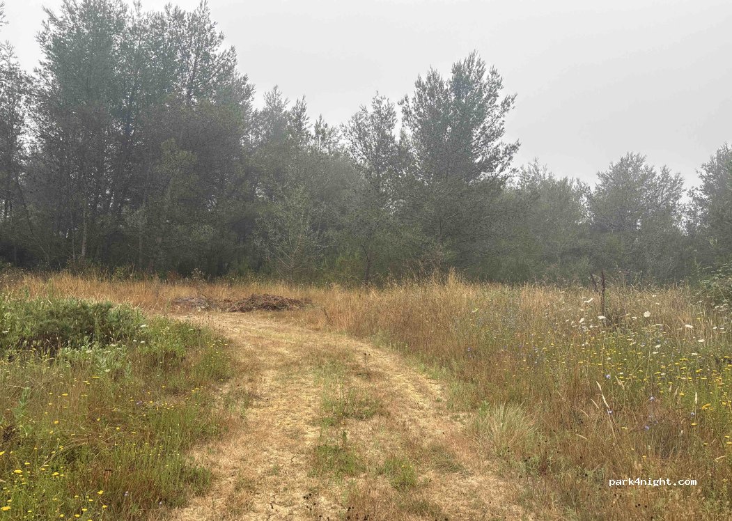(2710) Sintra - Unnamed Road — foto 2