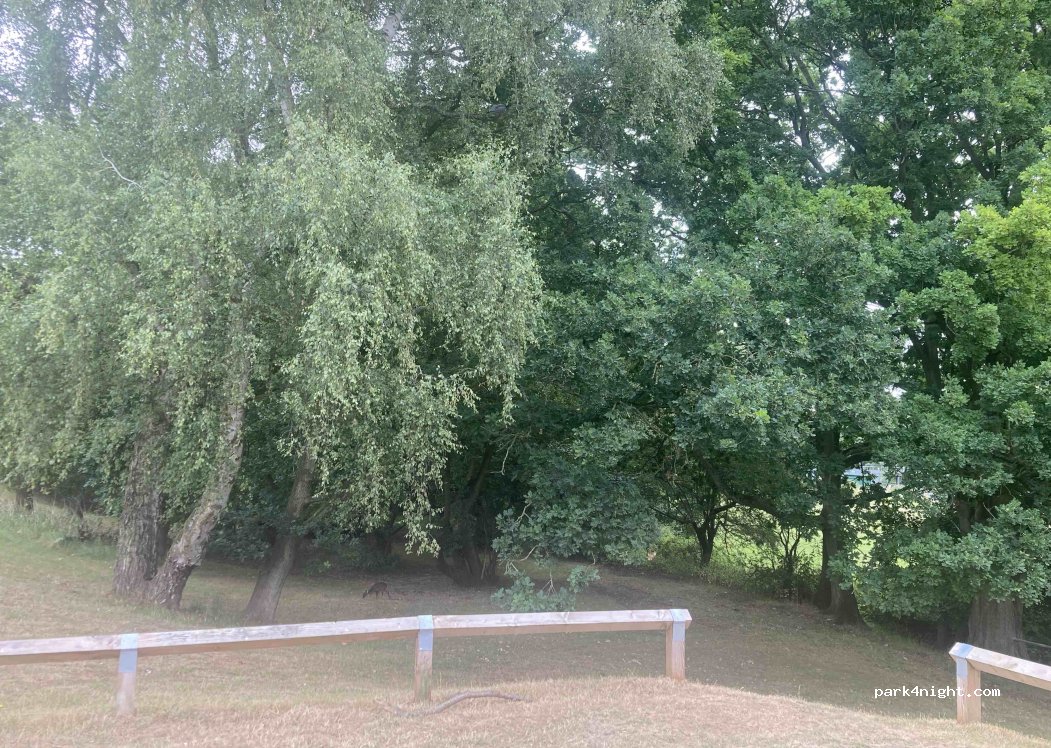 (IP24 1DZ) Thetford - 22 Chester Way — foto 2