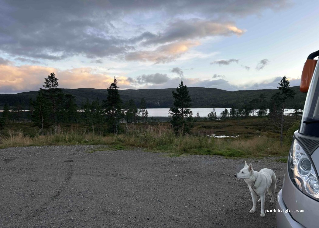 (8685) Trofors - 319 Litl-majavassvegen — foto 2