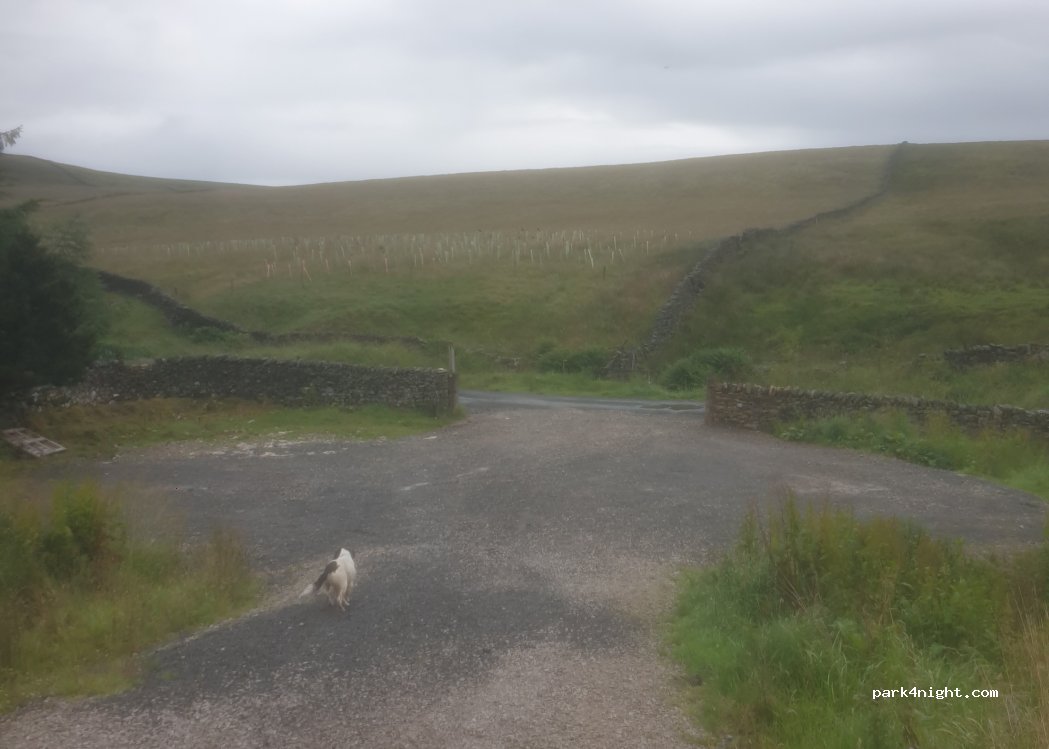 (BD24 9LA) Skipton - — foto 3