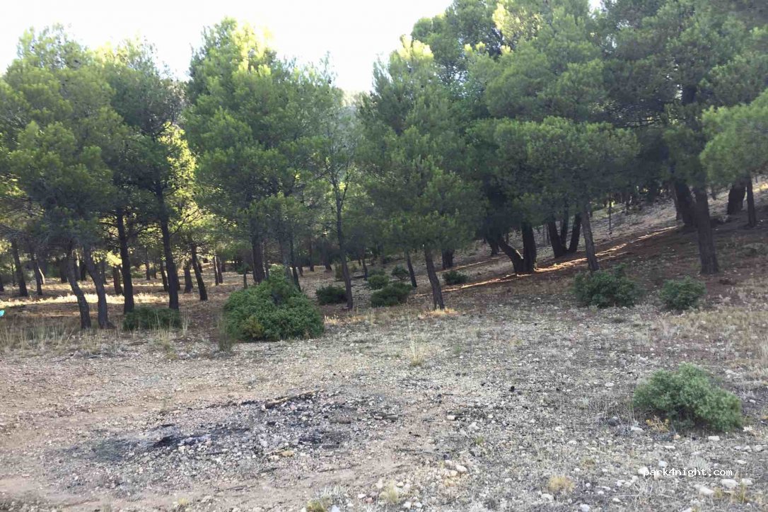 (23486) Hinojares - Unnamed Road — foto 2