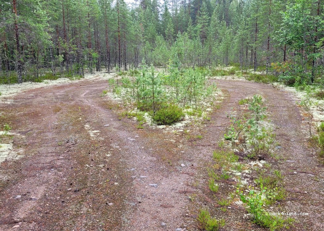(682 94) Lesjöfors - — foto