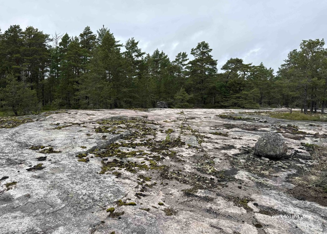 (21660) Väcklax - — foto