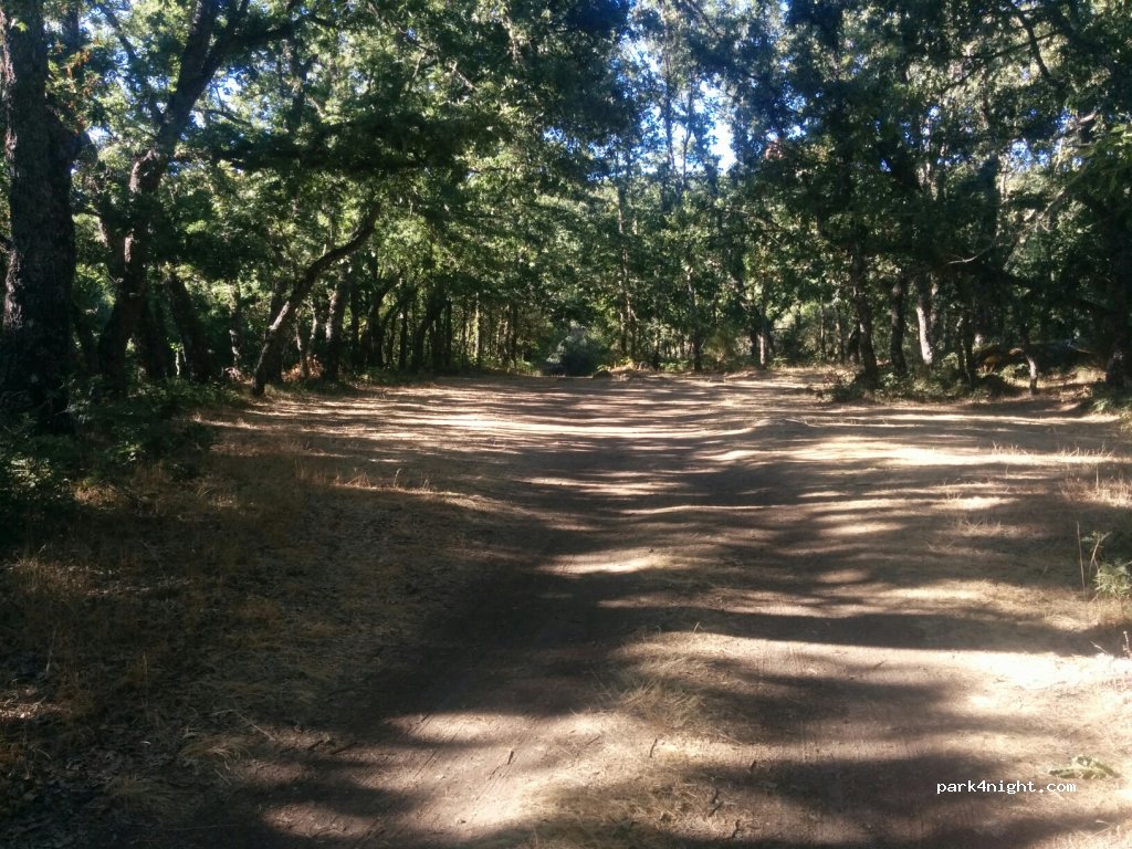 (49360) Galende - 12 ZA-104 — foto 3