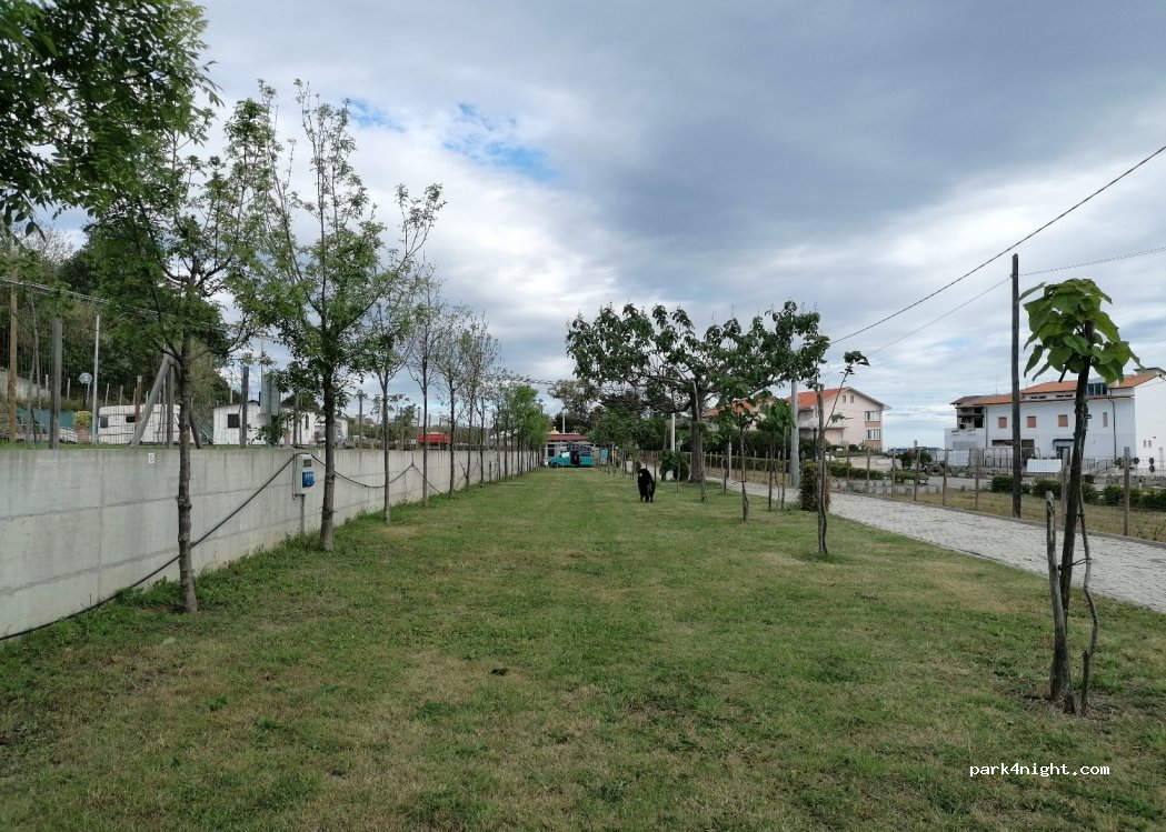 Camping Verdemare — foto 4