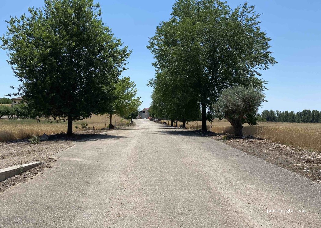 (19246) Pinilla de Jadraque - 39 Calle Torrejon — foto 2