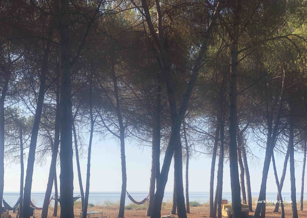 (08042) Bari Sardo - 29 Viale della Pineta — foto
