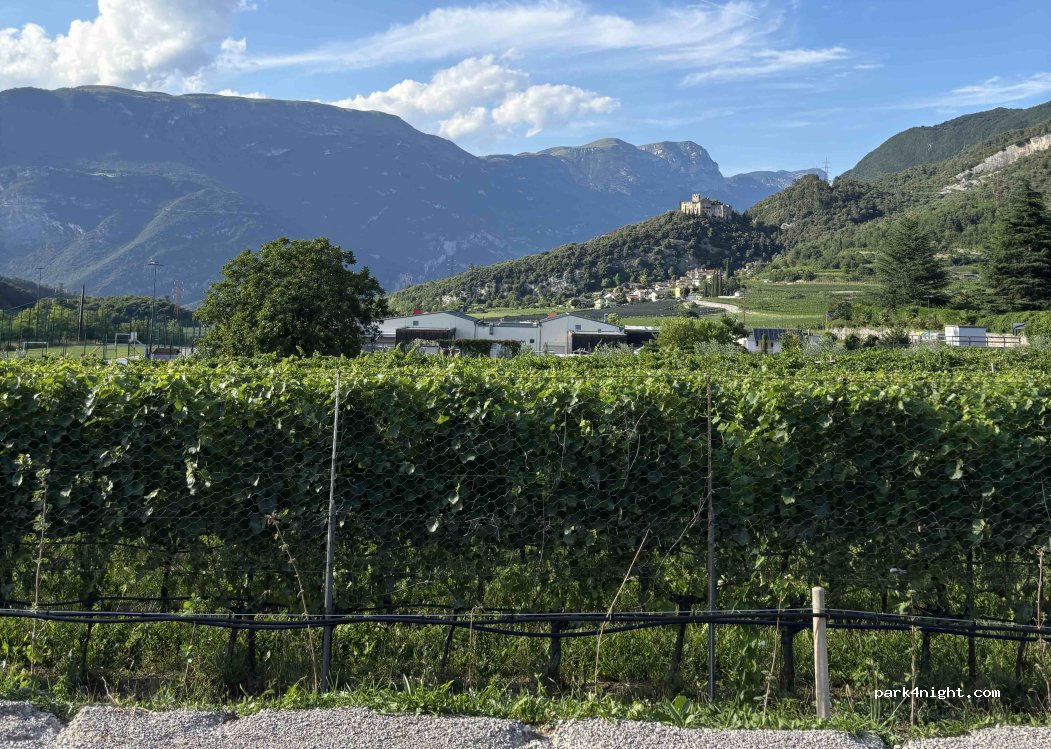 Agricampeggio Calicantus — foto 4
