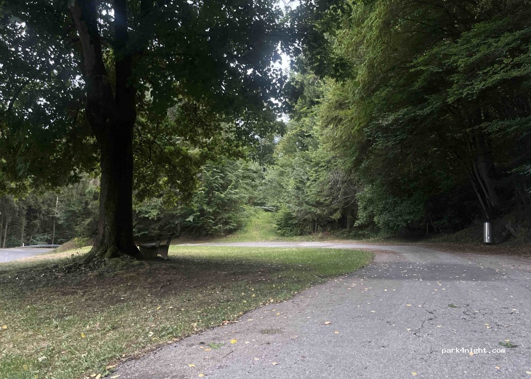 (9074) Linden - 41 Linden — foto 2