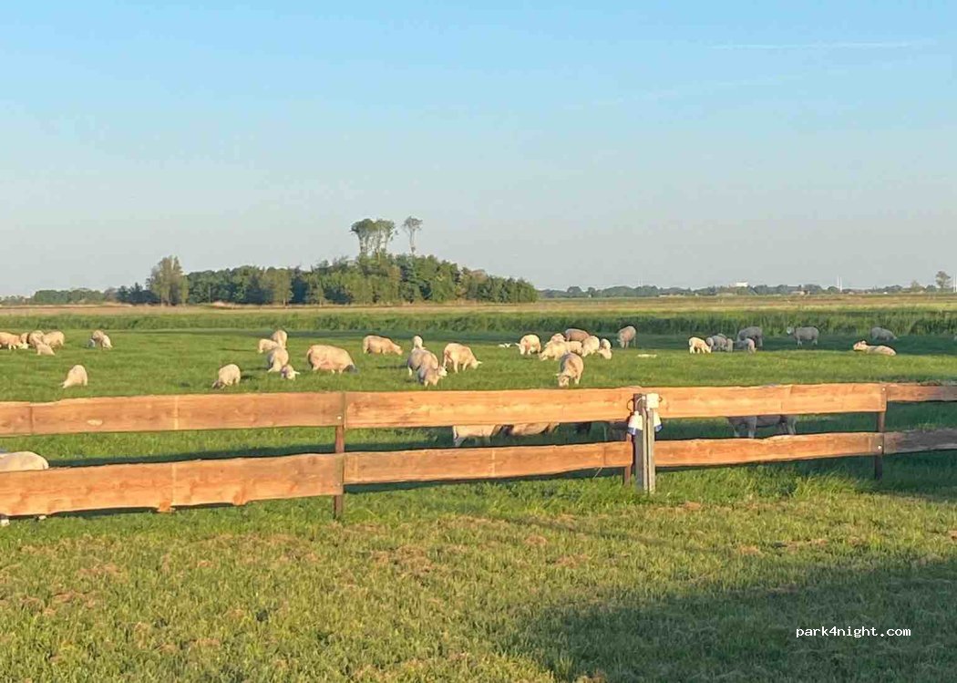 Camping De Ruige Venne — foto 2