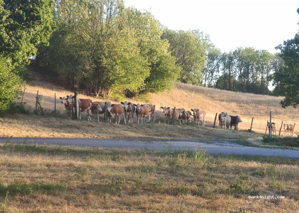 (39300) Valempoulières - Route de Molain — foto 3
