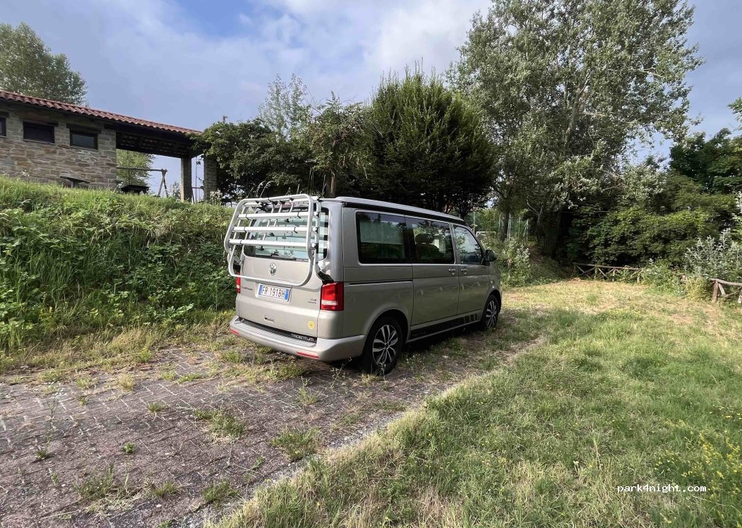 (14050) Olmo Gentile - — foto