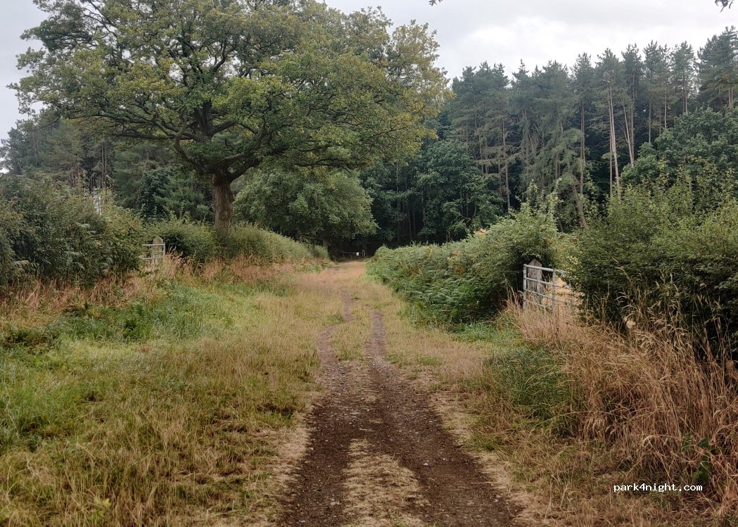 (WA6 6JN) Frodsham - — foto