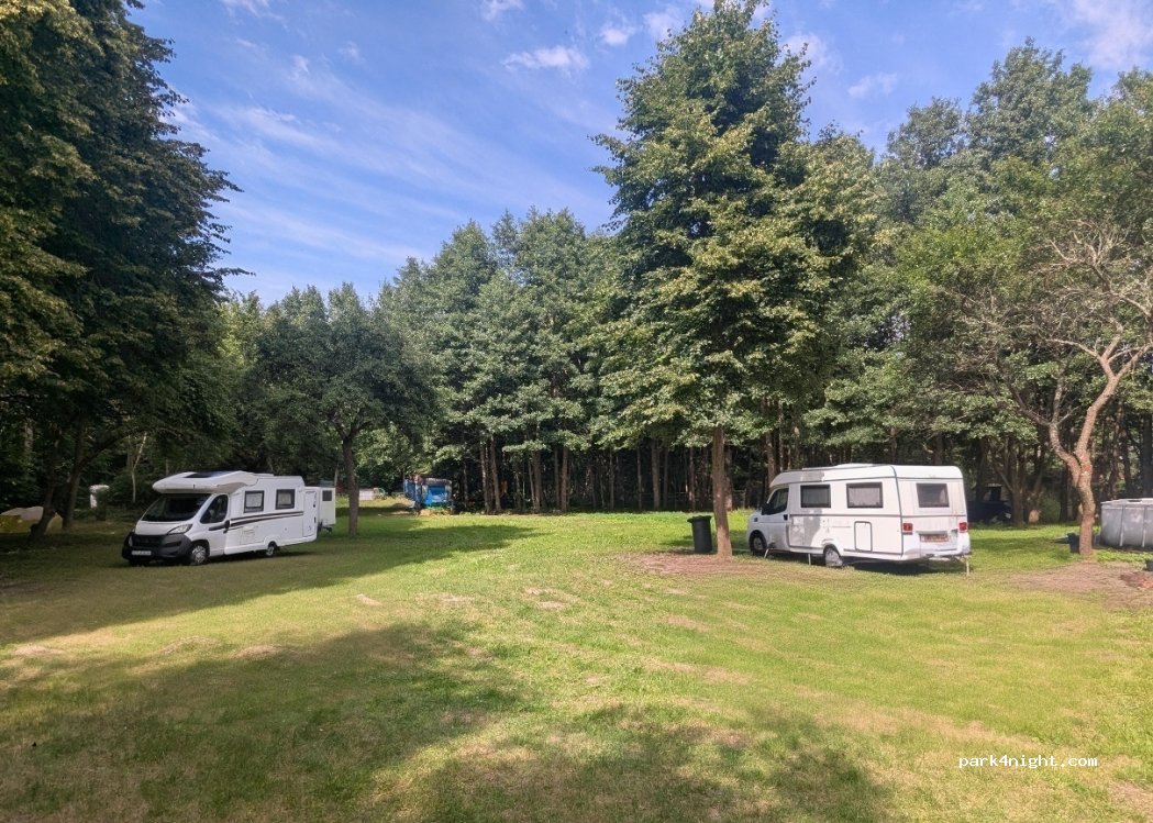 FamilyCamp — foto