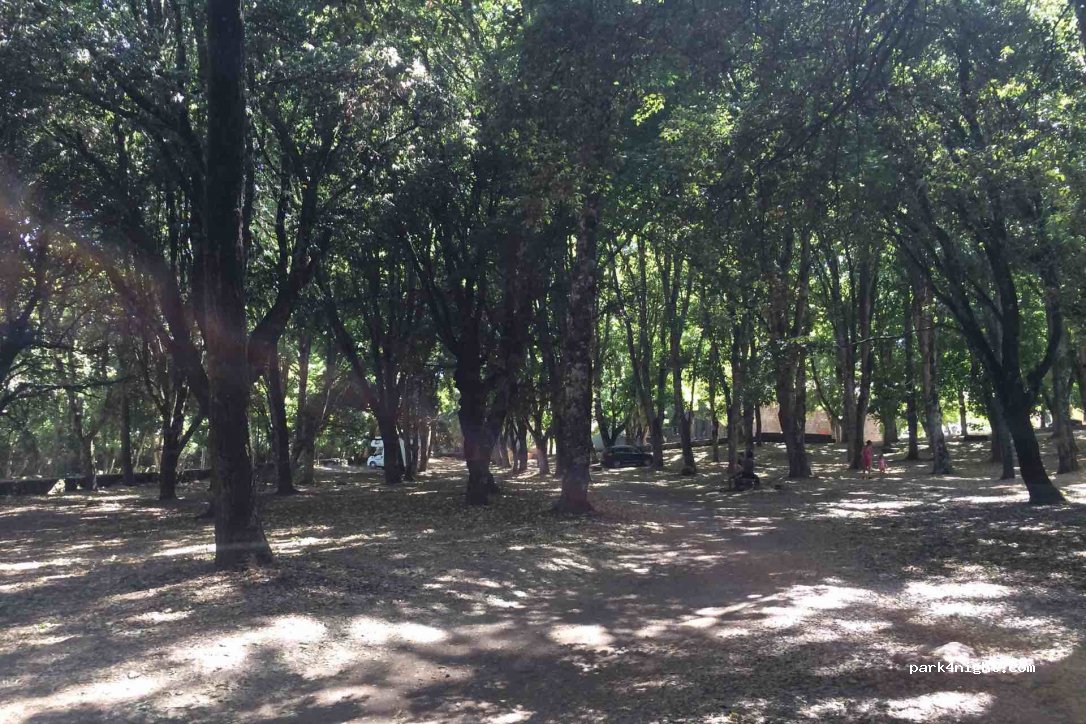 (09075) San Leonardo - SP20 — foto 2