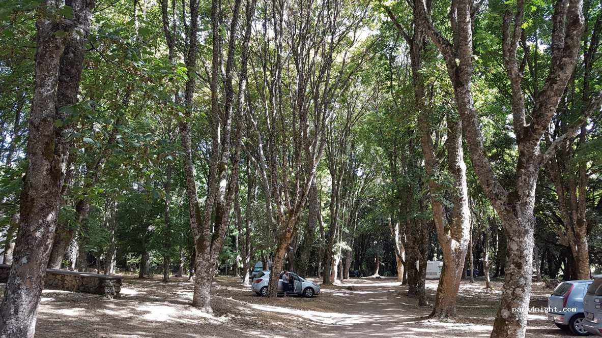 (09075) San Leonardo - SP20 — foto 3