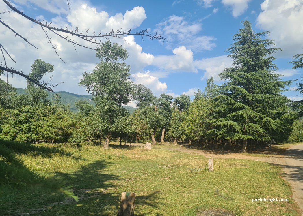 (3300) Mtskheta - Unnamed Road — foto 2