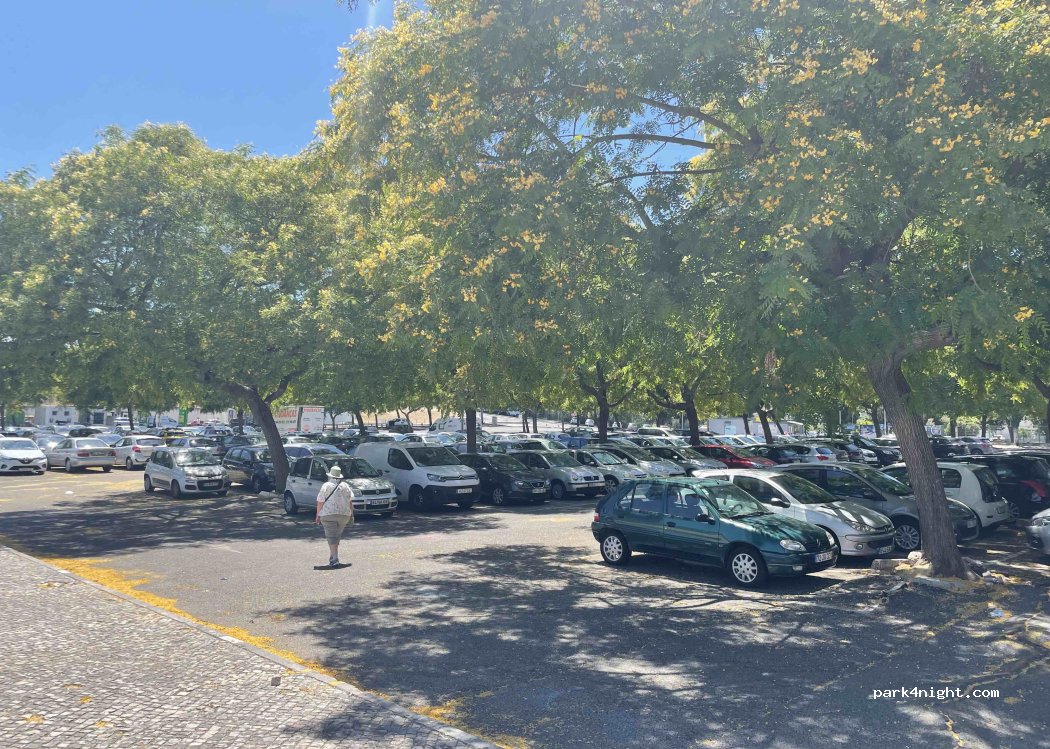 (2745-012) Queluz - 20 Avenida Professor Doutor Armando dos Santos Ferreira — foto