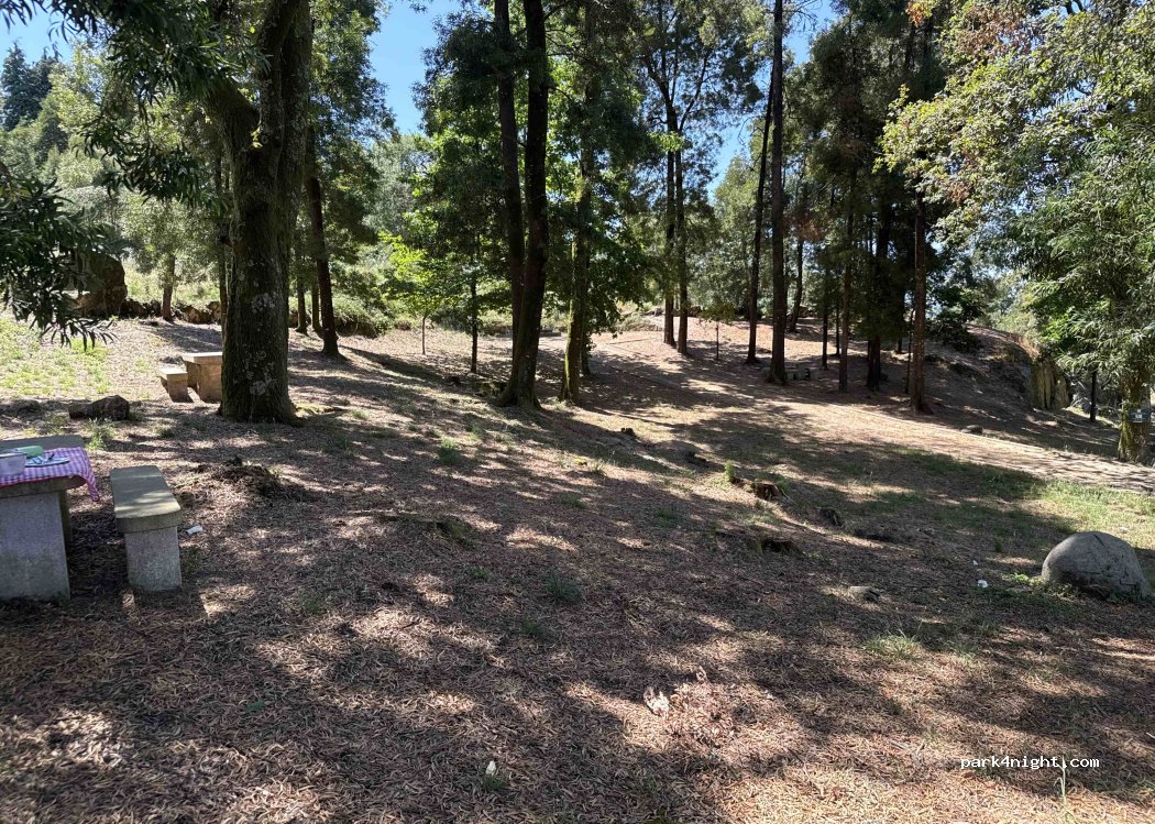 (4780) Burgães - 681 CM1105 — foto 2
