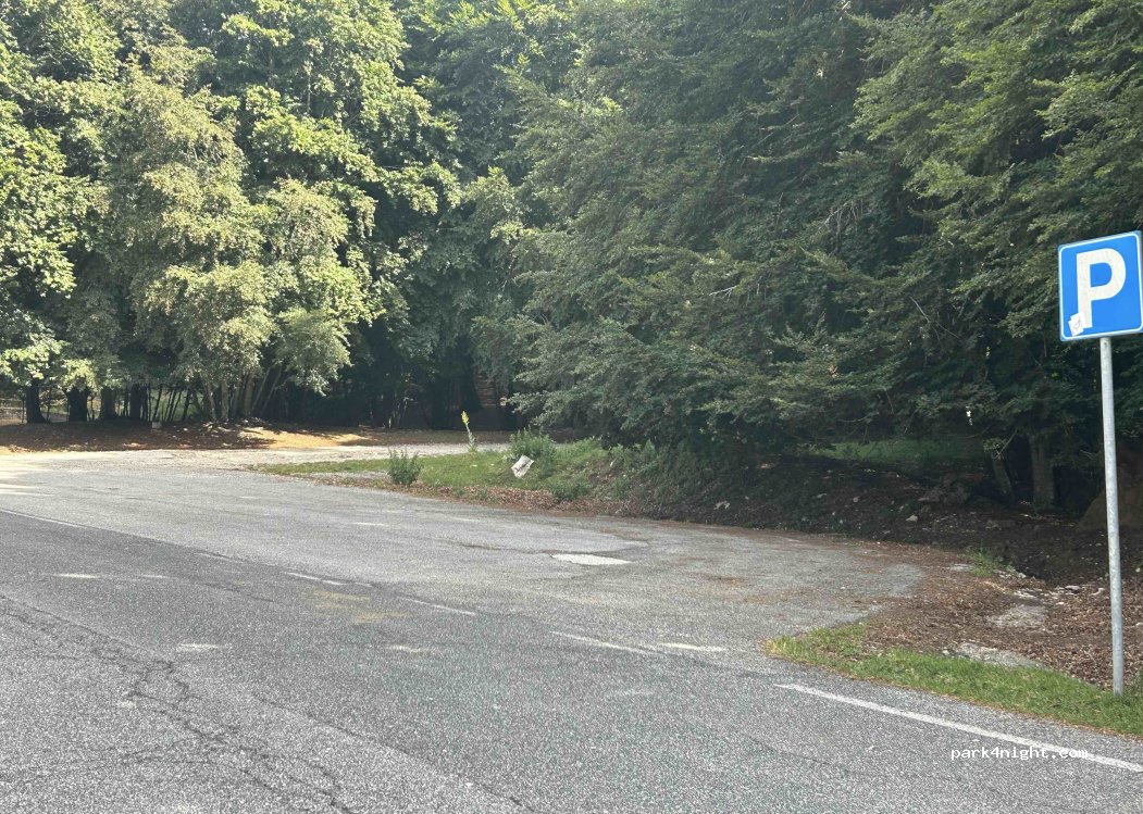(00028) Livata - 40 Viale dei Boschi — foto