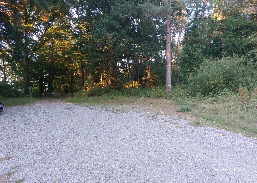 (72140) Mont-Saint-Jean - 1 Les Aulnaies — foto 2