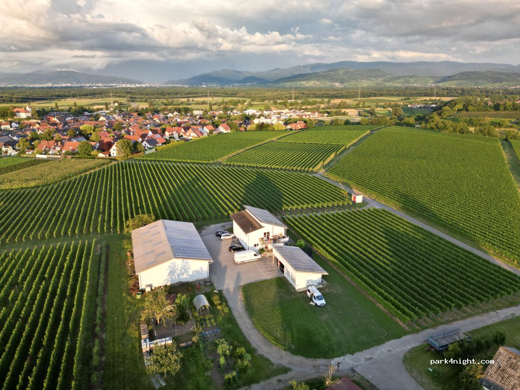 (79112) Freiburg im Breisgau - 48 Ruländerallee — foto 2