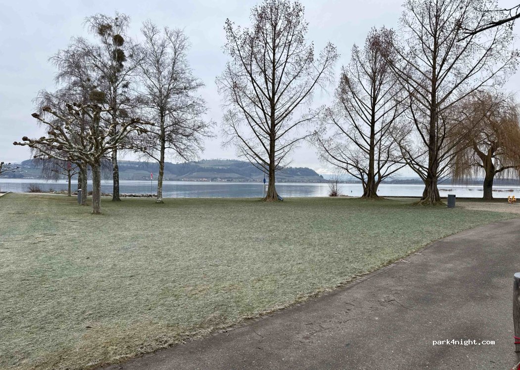 (3280) Murten - 89 Ryf — foto 5