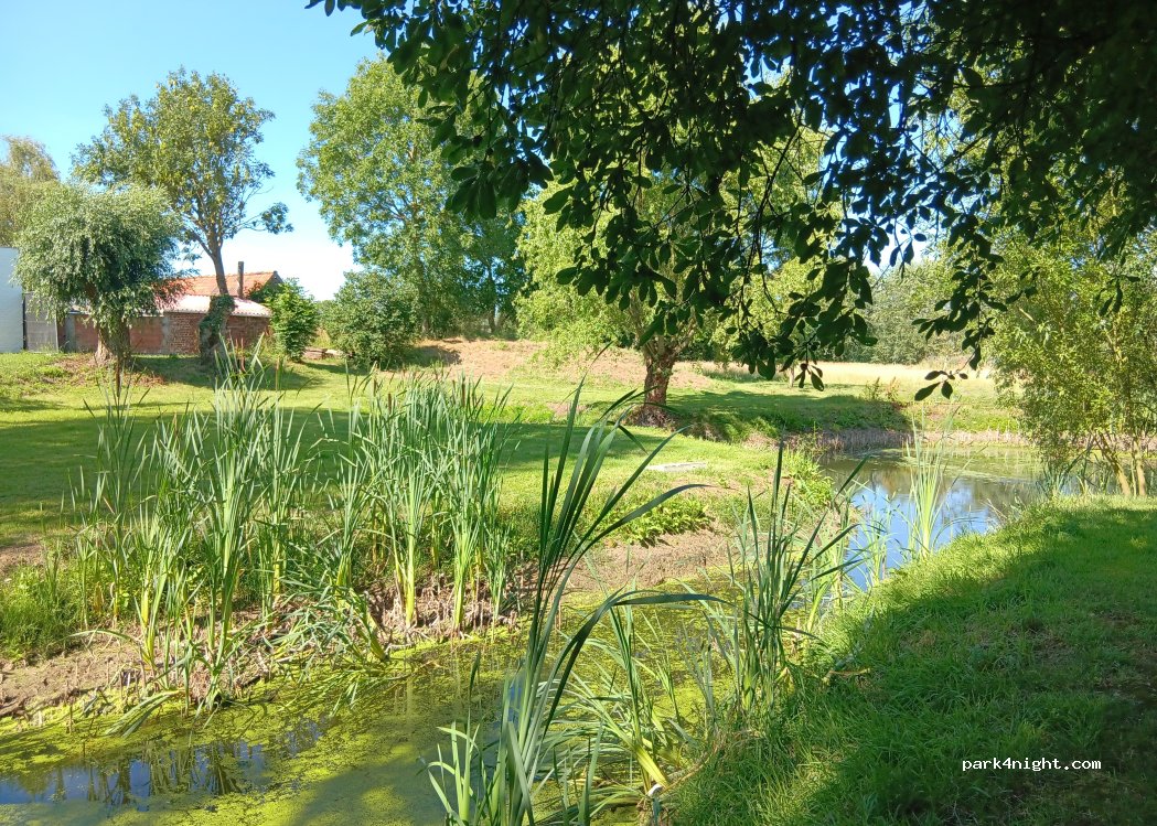 (8700) Tielt - 4 Steenakkerstraat — foto