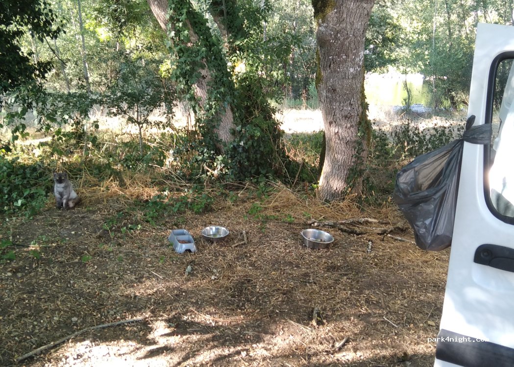 (46200) Lanzac - 709 Route de la Payssière — foto 2