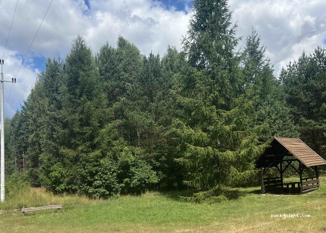 (89-632) Czernica - 3 Leśna — foto