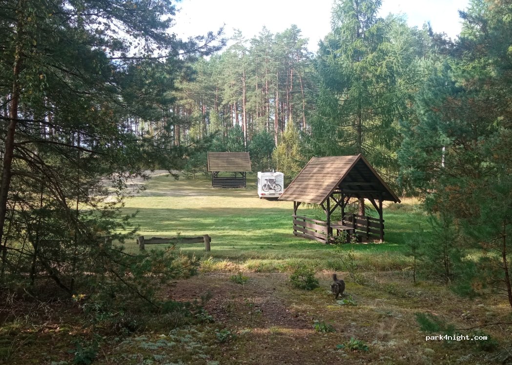 (89-632) Czernica - 3 Leśna — foto 4