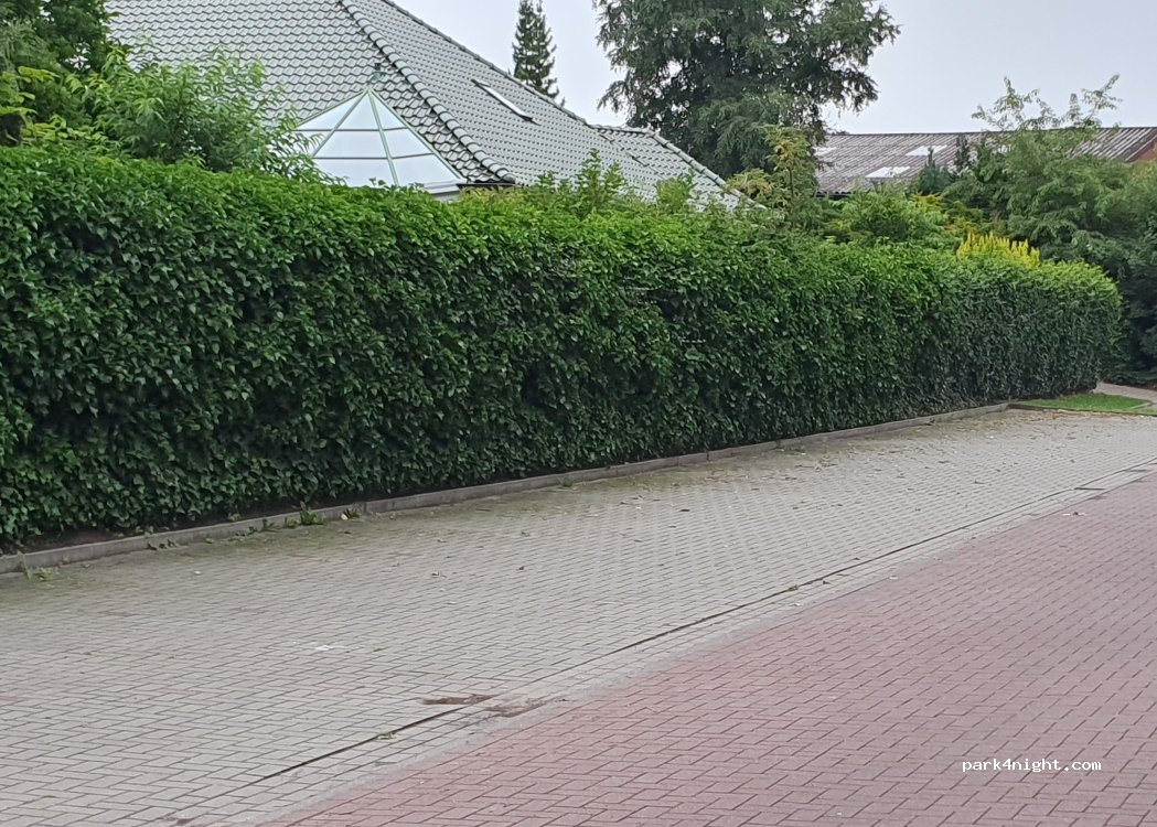 (26810) Westoverledingen - 22 Alter Weg — foto
