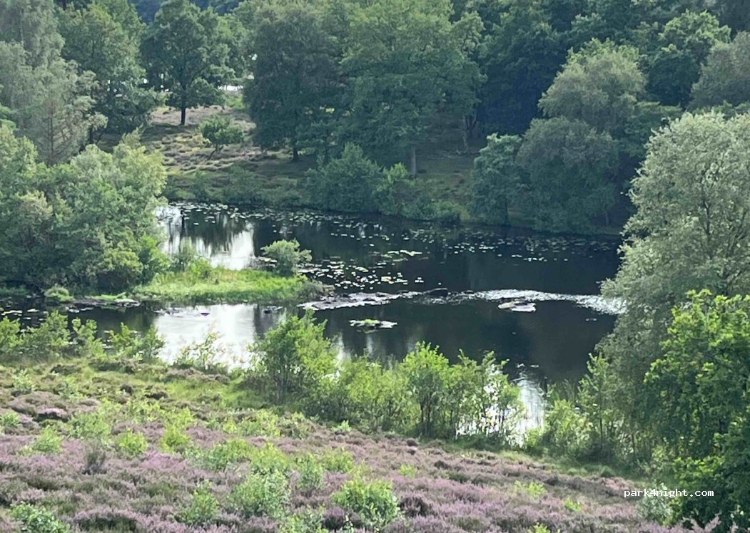 (8800) Viborg - 24 Vedsøvej — foto 2