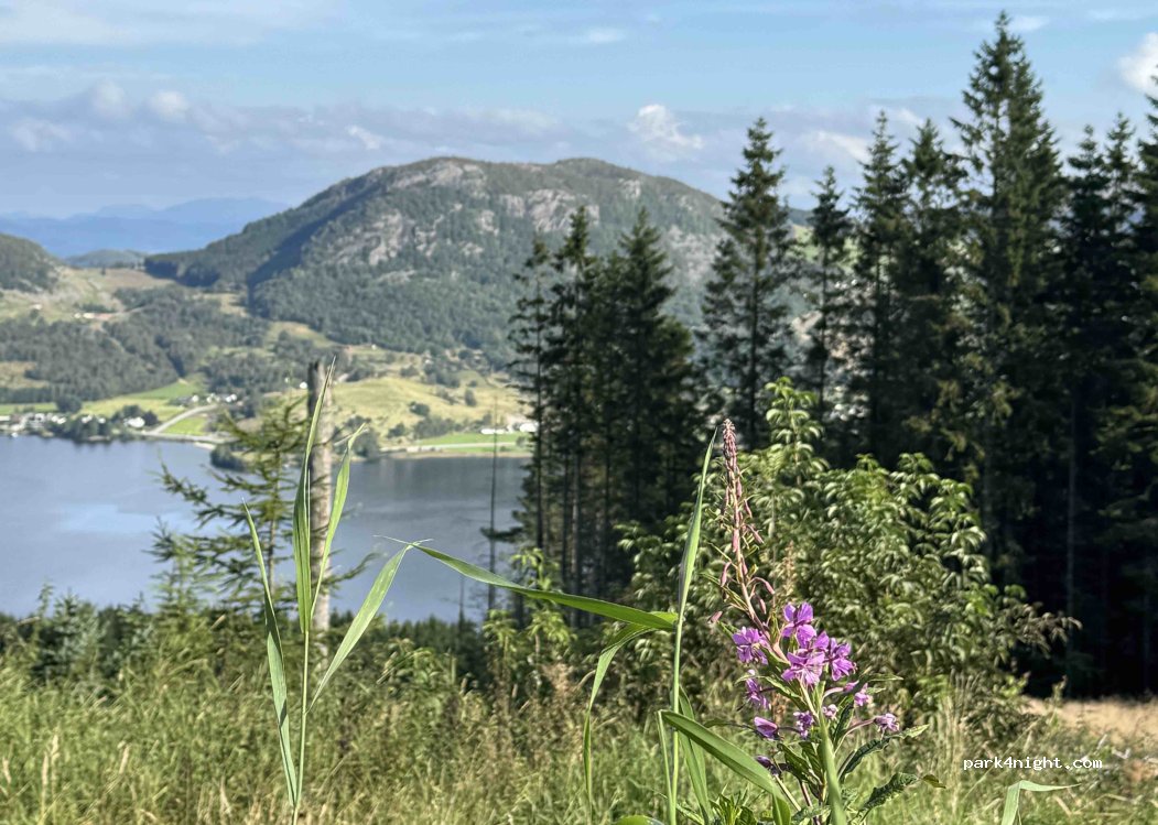 (4121) Tau - Hellandsheivegen — foto 3