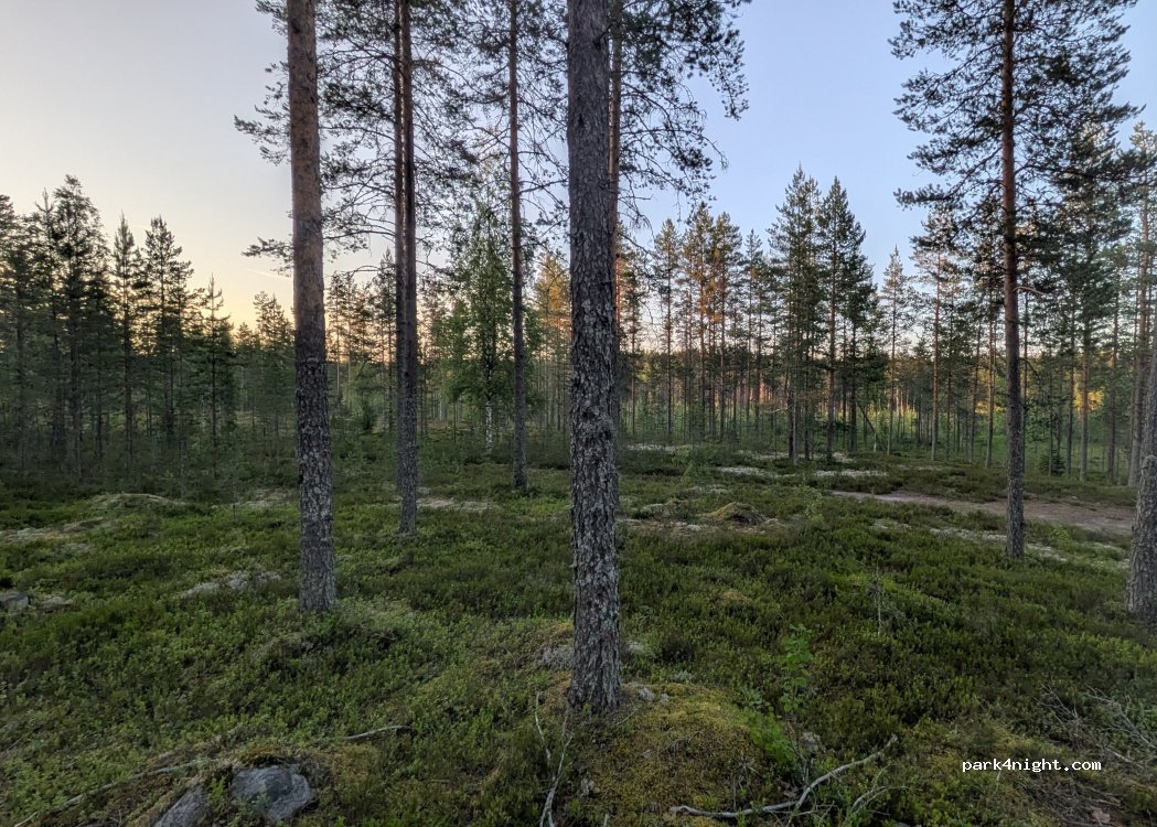 (81430) Janhosvaara - — foto 3