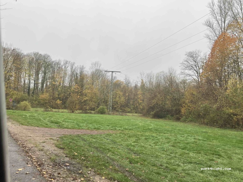 (67165) Waldsee - — foto 4
