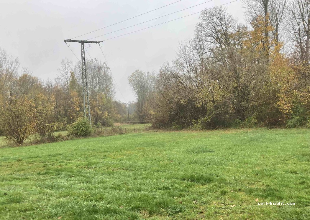 (67165) Waldsee - — foto 5