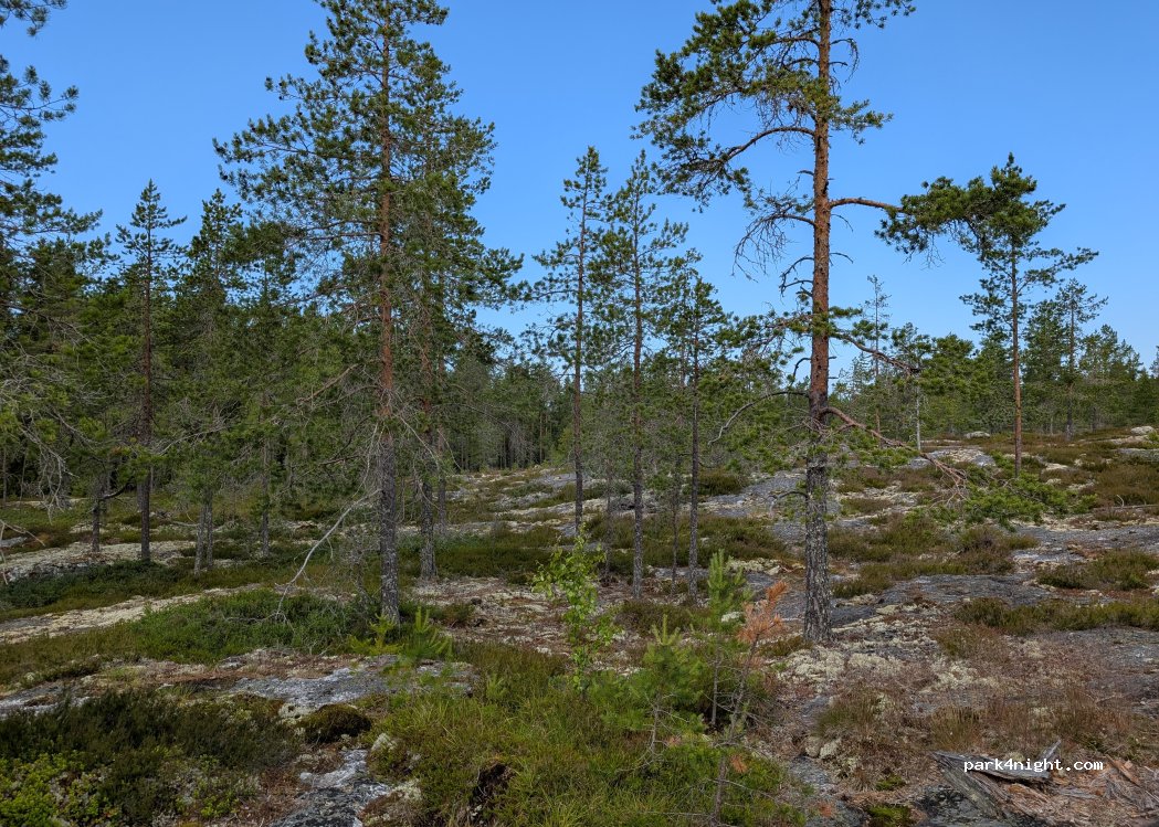 (69600) Kaustinen - 129 Pauanteentie — foto 2