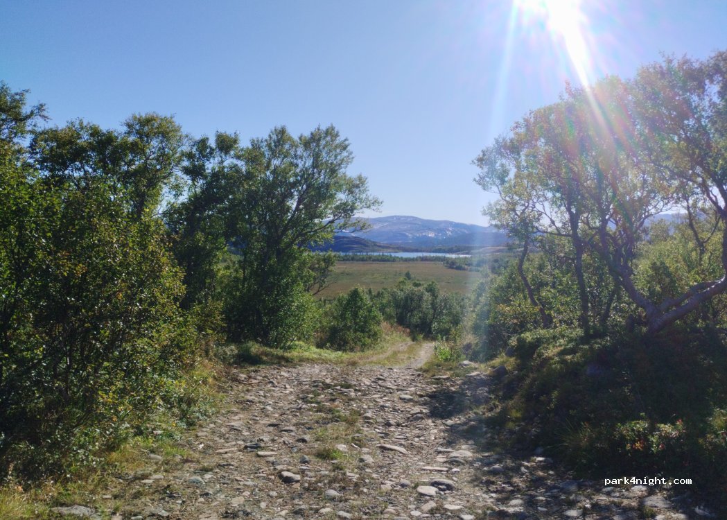 () Lysfjord - — foto 2